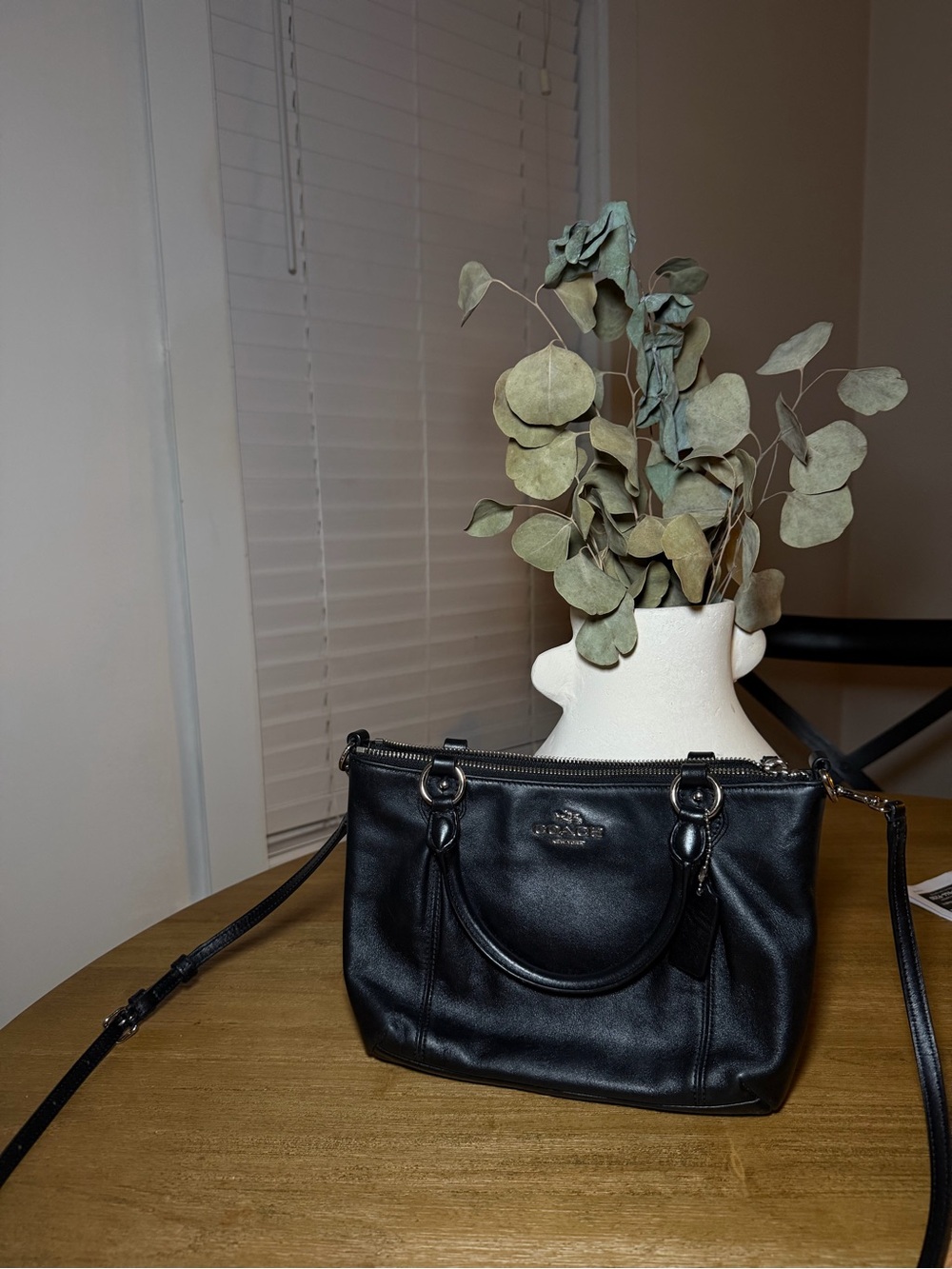 Coach Mini Rowan File Shoulder Crossbody Bag